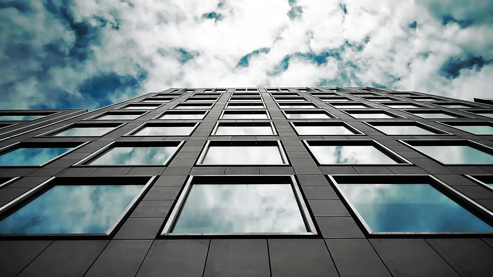 Architectural Metal Windows